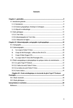 Contribution à l'étude géologique des prospects miniers à cuivre