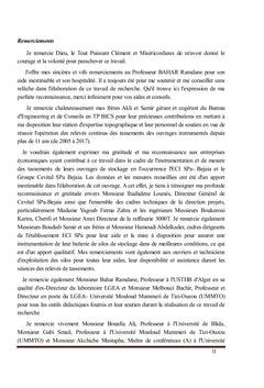 Analyse du comportement des colonnes ballastées flottantes