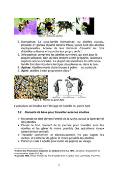 L'élevage des Larves de palmier et l'Apiculture