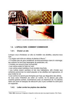L'élevage des Larves de palmier et l'Apiculture