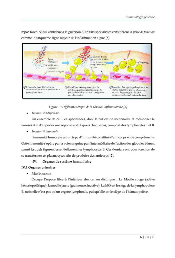 Immunologie Fondamentale