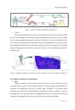 Immunologie Fondamentale