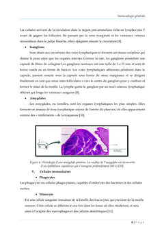 Immunologie Fondamentale