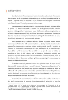 La protection du consommateur dans le commerce électronique
