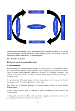 Amélioration des plantes et biotechnologies