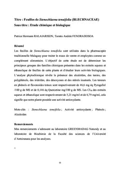 Feuilles de Stenochlaena tenuifolia (BLECHNACEAE)
