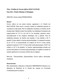Feuilles de Grewia triflora