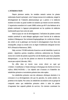 Feuilles de Grewia triflora