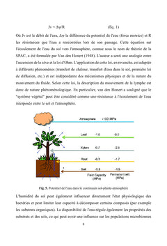 Mesures de l'humidité du sol et méthodes d'étalonnage