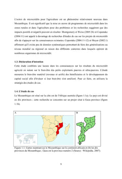 Projets de microcrédit agricole pour la réduction de la pauvreté