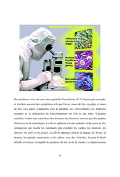 Agroterrorisme