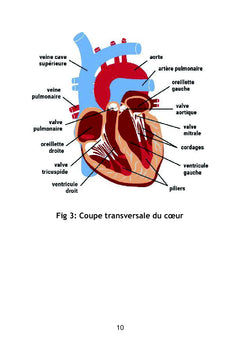 Eclairages sur des maladies courantes