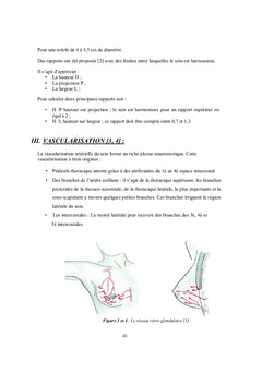 Reconstruction Mammaire par le Grand Dorsal Pur