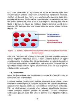 Physico-chimie et formulation des émulsions