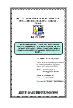 Problematique de l'appui à la reinsertion socio-economique