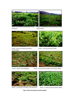 Production et composition botanique de l'herbe
