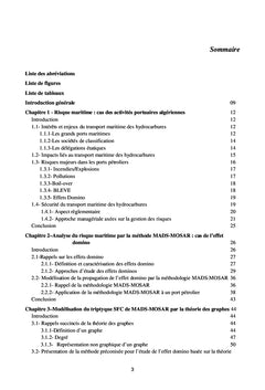 Contribution à l'étude des effets domino dans les ports maritimes