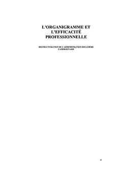 Organigramme et efficacité professionnelle