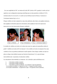 Examen pratique du rachis