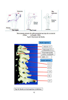 Examen pratique du rachis