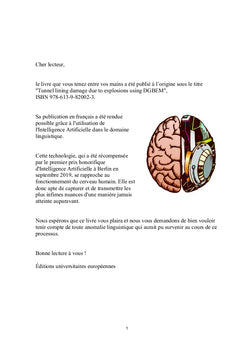 Dommages au revêtement des tunnels par la DGBEM