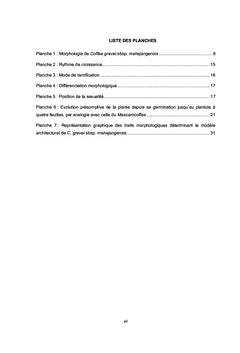 Étude architecturale des caféiers sauvages endémiques