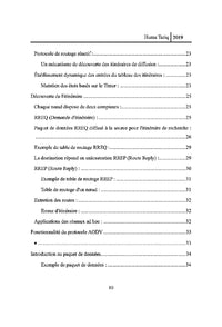Prévention de l'attaque des trous noirs sur les données