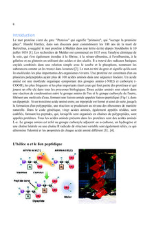 Maladies neurodégénératives : Kuru, Alzheimer, Parkinson, Huntington