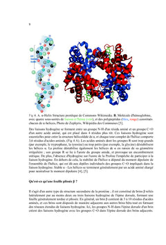 Maladies neurodégénératives : Kuru, Alzheimer, Parkinson, Huntington