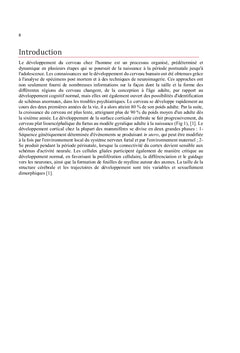 Développement du cerveau chez Homo sapiens du foetus à l'adulte
