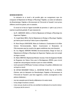 Les besoins dans le domaine de l'adaptation au changement climatique: