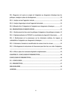 Les besoins dans le domaine de l'adaptation au changement climatique: