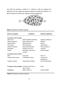Comportement des polymères Chargés de particules conductrices