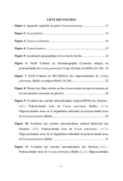 Gommes exsudatives de Cassia petersiana (FABACEAE)