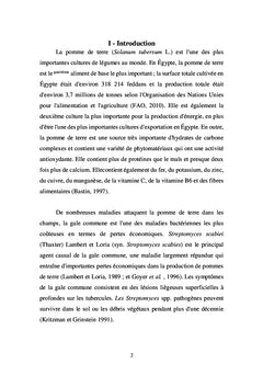La gale commune de la pomme de terre et son contrôle