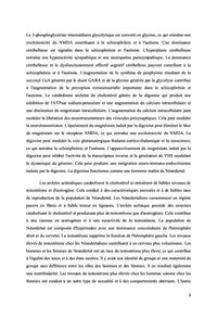 Mondialisation, altruisme, société et symbiose