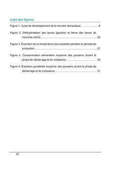 Production et valorisation des larves de mouches