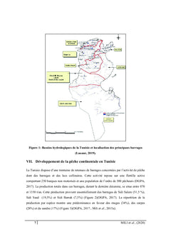 La pisciculture continentale en Tunisie