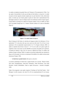 La pisciculture continentale en Tunisie