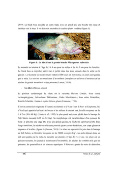 La pisciculture continentale en Tunisie