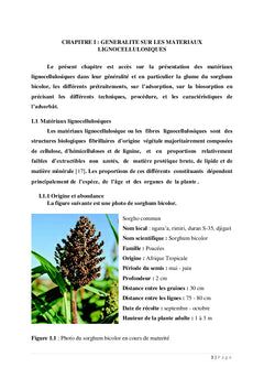 Filière sorgho : approche socio-sanitaire et économique