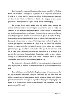 Filière sorgho : approche socio-sanitaire et économique