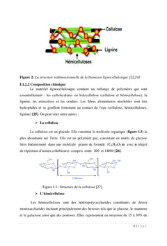 Filière sorgho : approche socio-sanitaire et économique