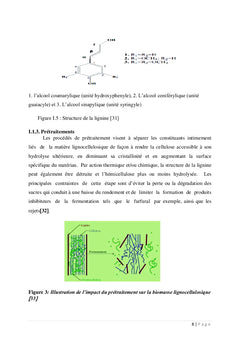 Filière sorgho : approche socio-sanitaire et économique