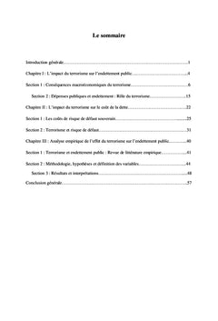 Analyse économique du terrorisme et de son impact