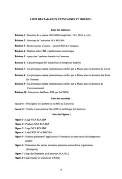 Mise en oeuvre de la responsabilité sociétale dans les organisations du Cameroun