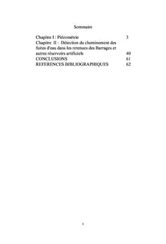 Piézométrie et nouvelles techniques de détection des fuites d'eau