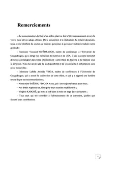 Temps verbaux et style dans le texte romanesque