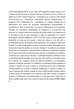 Mieux appréhender les Hémoglobinopathies