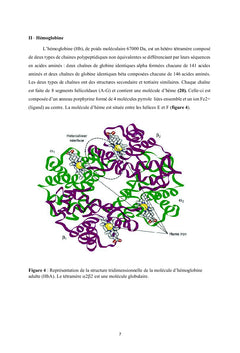 Mieux appréhender les Hémoglobinopathies